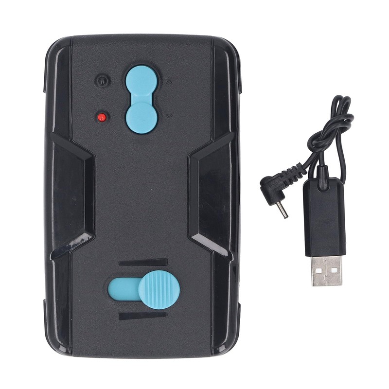 Flying RC Bird Toy 2.4GHz USB Charging LED Bionic Flapping