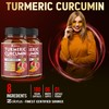 2packs 90 Capsules Turmeric Curcumin + Apple Cinder Vinegar Capsules,