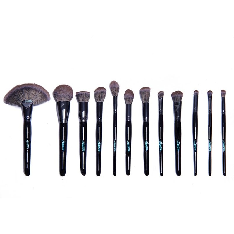 SET DE 24 BROCHAS PROFESIONALES | SMOKEY LUXE SOFT MAKEUP