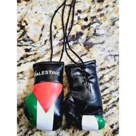 Country Flag Mini Boxing Gloves For Hanging - Country: Palestine 🇵🇸