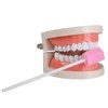(50 Pack) Disposable Oral Swabs, Sterile Dental Sponge Swabsticks Unflavored