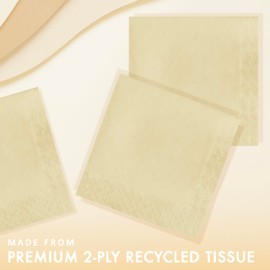 Creative Converting Touch of Color 2-Ply 50 Count Paper Lunch Napkins, Ivory