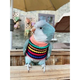 HEZHUO Parrot Bird Supplies - Warm & Comfortable Tiger Skin Clothes for Green Cheek, Little Sun, Monk, Starling, Mynah & Senegal Parrots - Mini Macaw Sweater (L)