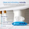 WIPEMATE 6 PACK, 252 ULTRA Flushable Butt Wipes, Soothing Vitamin