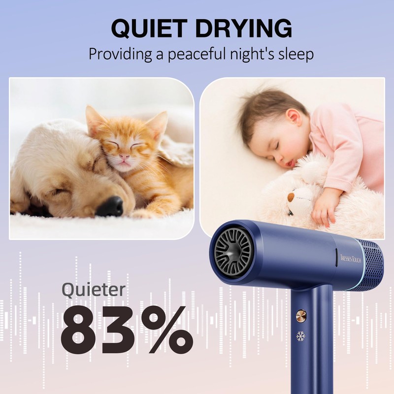 Ionic Hair Dryer with Diffuser and Concentrator, Professional Lightweight Quiet