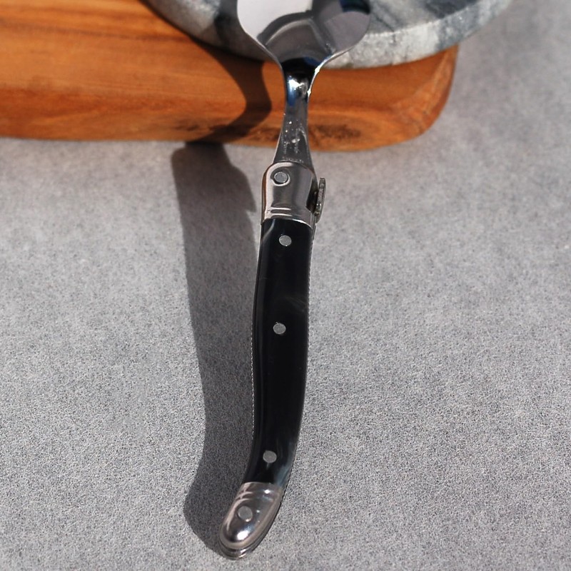Lagulore ABS Handle, Teaspoon, Made in France, NERON, Black Marble