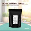 100g Food Grade Calcium Hydroxide Powder - FCC Hydrated Slaked