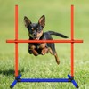mioule Dog Agility Training Equipment, Backyard Course Set with Adjustable