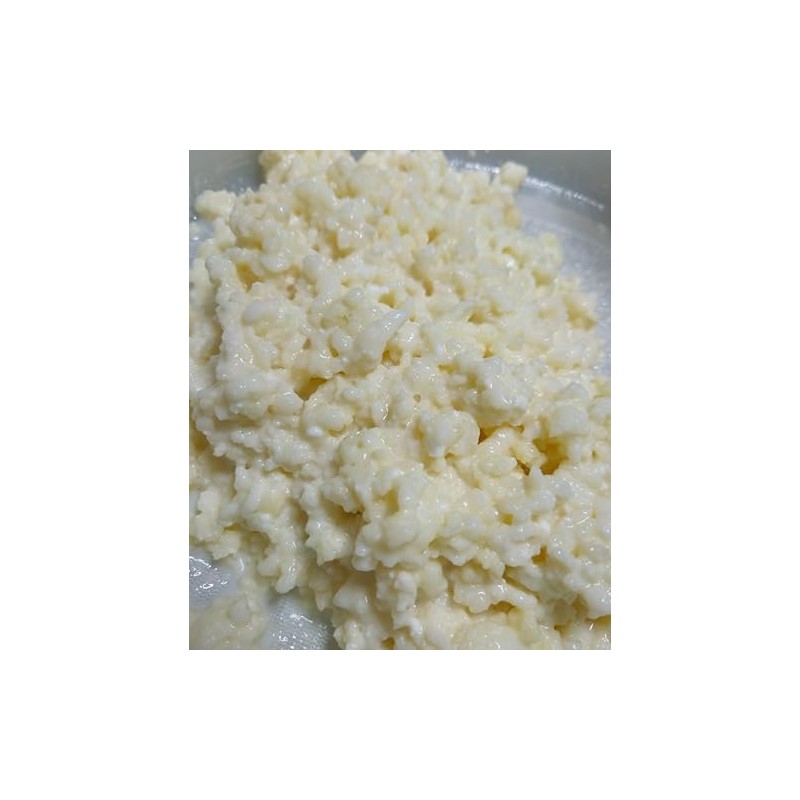 Milk Kefir Grains