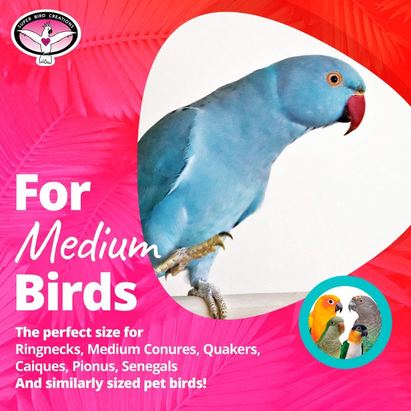 Super Bird Creations SB1095 - Seagrass Wafers Bird Toy for