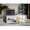 Vanilla Maximum Scented Wax Melts- 1 Pack- 2 oz- 6