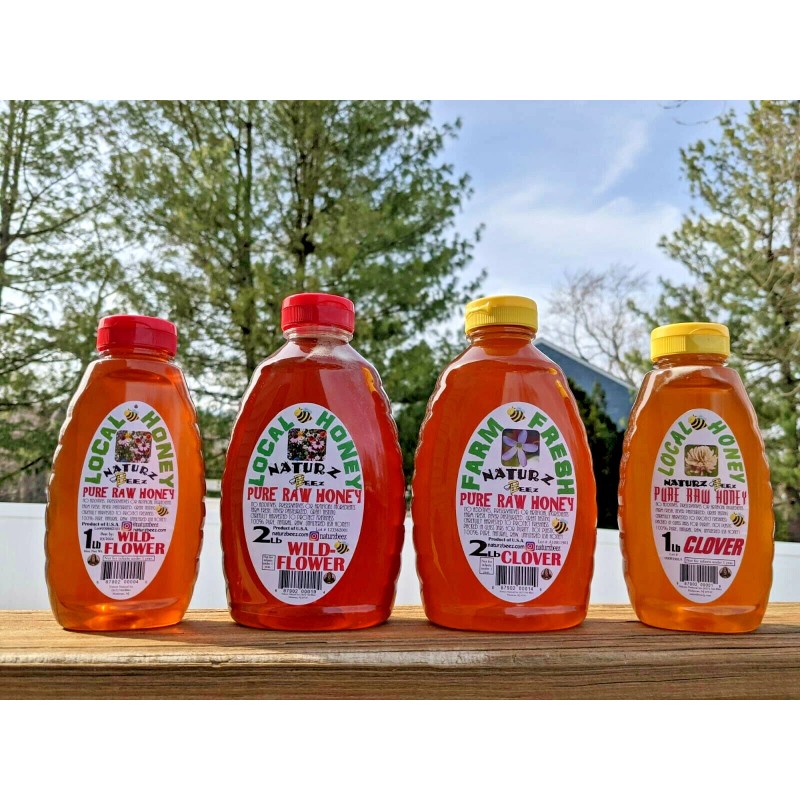 NATURZ BEEZ RAW HONEY CLOVER 2 LBS Squeeze Bottle 100%
