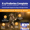 K-9 ProSeries Complete Overall Health