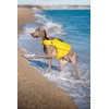 Noah & Paw Dog Life Jacket, Human Standards Lifejacket Design,