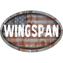 ANY AND ALL GRAPHICS Wingspan Patriotic American Flag Rusty Rustic Metal 8"x12" Oval Shaped Look Novelty décor Composite Aluminum Beach Cottage Sign.