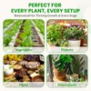 Humboldts Secret pH Down for Plants | Liquid pH Adjuster
