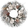 ANDALUCA Summer Seashell 20in Coastal Wreath Natural Abalone, Sand Dollar,