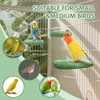 3Pcs Beak Grinder for Birds: Parakeet Beak Grinding Stone&Nail Trimming