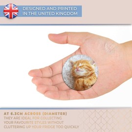 Destination Vinyl ltd Magnet for Refrigerator, Fridge - Cute Ginger Kitten Cat Pet for Office, Cabinet and Whiteboard, Magnetic Stickers, 24497