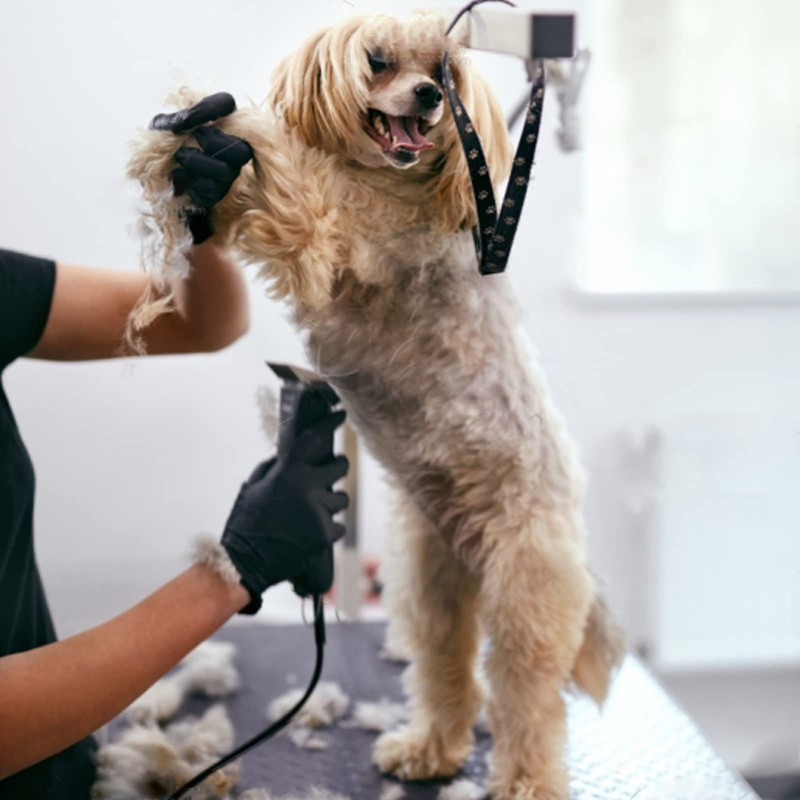 Dog Grooming Clipper Replacement Blades Compatible with Andis Pet Clipper/Oster