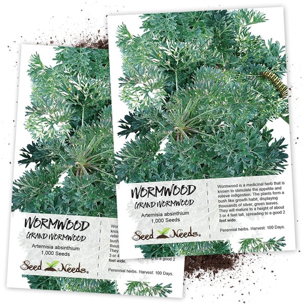 Seed Needs, Wormwood Herb (Artemisia Absinthium) Twin Pack of 500 Seeds Each Non-GMO