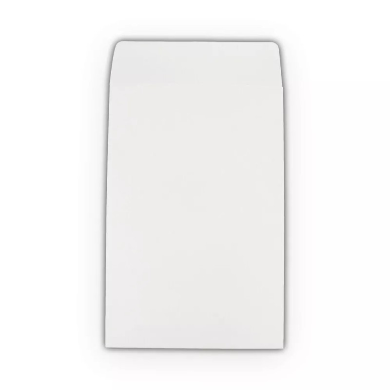 EcoSwift 25 6x9 "EcoSwift" Brand Self-Seal Catalog Mailing Shipping Kraft
