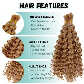 Honey Blonde Human Braiding Hair for Boho Braids #27 Deep Water Wave Bulk Human Hair for Braiding 14 Inch Curly Human Hair for Bohemian Braids 100% Human Hair Water Wave 2 Bundles 100G for Braiding