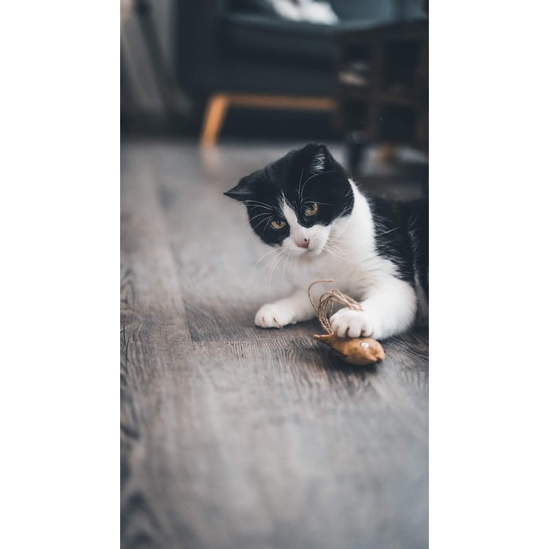 Aime 9cm Natural Cork Cat Toy with Catnip for Claws