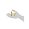 Master Lock 175 Set Your Own Combination Padlock, Brass Finish