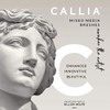 Callia Mixed Media Artist Paint Brush Flat Shader