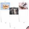The Best Card Company Cuddling Cats - 20 Assorted Boxed