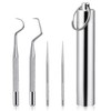 Worldity 5Pcs Reusable Toothpick, Portable Metal Toothpick, Professional Teeth Cleaning