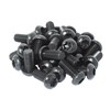 POWERTEC Planer Blade Screws T30 Torx (30 Pack) - Compatible