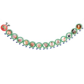 Hungry Caterpillar Monthly Milestone Photo Banner - Newborn to 12 Months, Fruit Theme, 1st Birthday Decoration