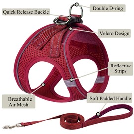 Dog Harness with Leash Set, No Pull Adjustable Reflective Step-in Puppy Pet Vest Harnesses for Small Medium Large Dogs and Cats,Red XXS