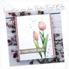 KK-0234 Clear Stamp Set Motif Card Art Spring & Easter