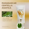 SKIN1004 Madagascar Centella Soothing Cream 75ml
