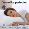 KNX Bed Pillows - Medium/Flat, 20'' x 36'', Set of