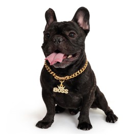 18K Cuban Link Dog Collar, 15MM Gold Dog Chain Collar, Heavy Duty Walking Metal Pet Cuban Collar Jewelry for Large Dogs, 20 inch