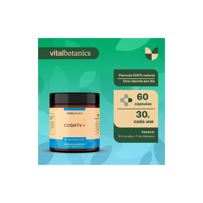Vitalbotanics Nootropico Con Melena De Leon Con 60 Caps