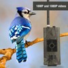 1080P HD Trail Outdoor Wildlife Waterproof Infrared Night Vision Hunting
