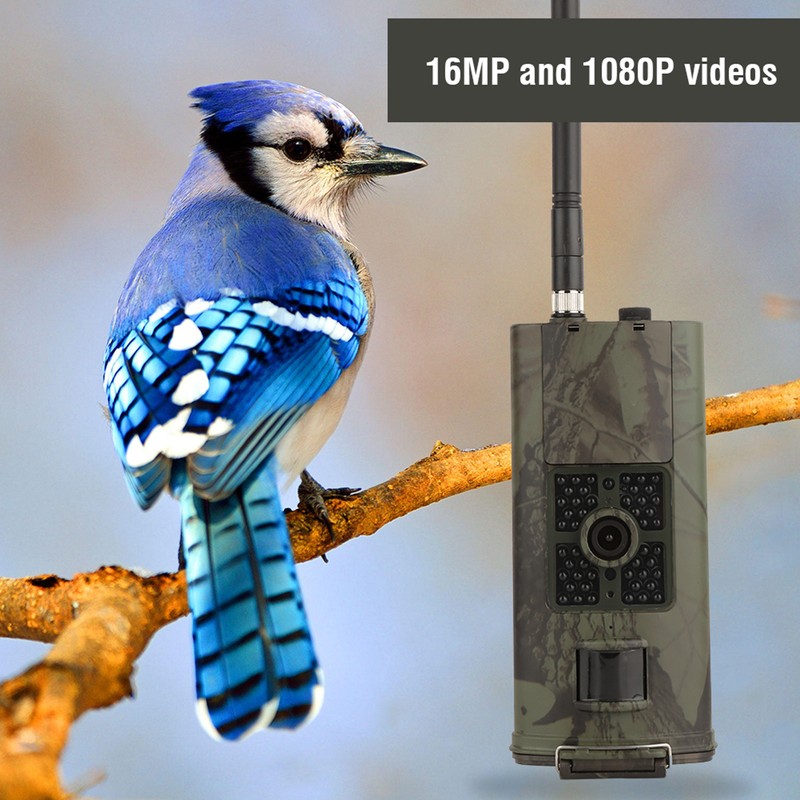 1080P HD Trail Outdoor Wildlife Waterproof Infrared Night Vision Hunting