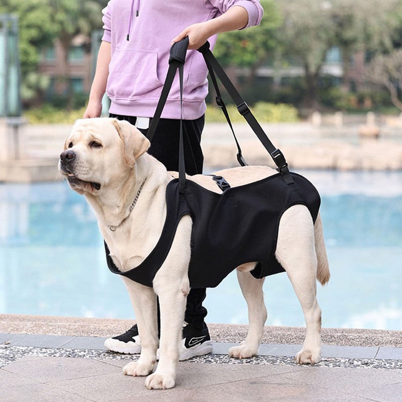 Dog Lifting Harness,Full Coverage One-Shoulder Handheld Dog Support Mobile Carrier