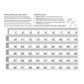 Lupine 3/4 Inch Wet Paint Roman Dog Harness