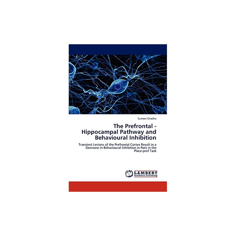 The Prefrontal - Hippocampal Pathway and Behavioural Inhibition: Transient Lesions