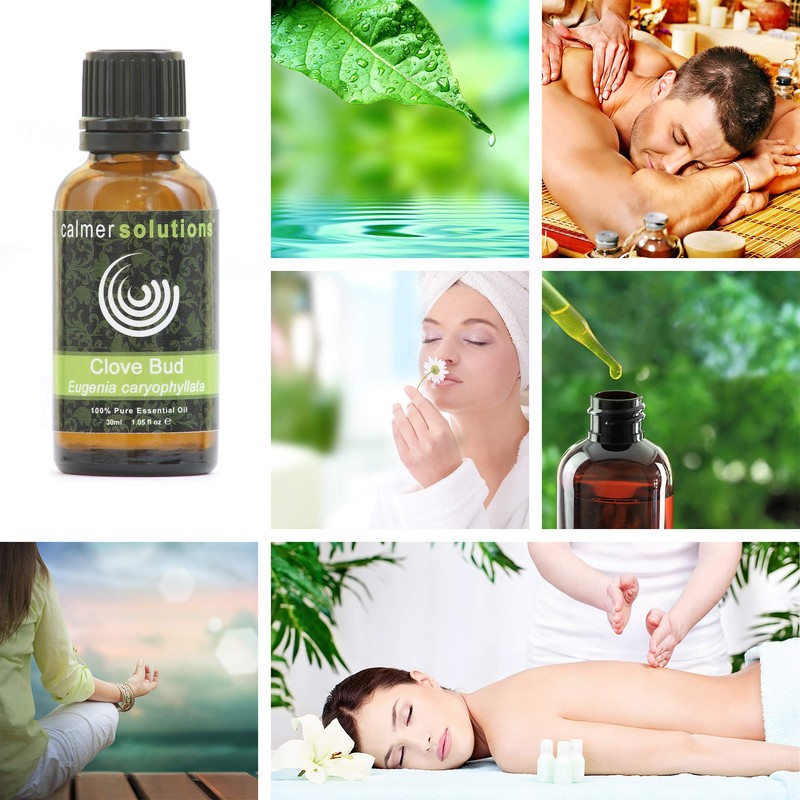 Clove Bud Essential Aromatherapy Oil (30ml)