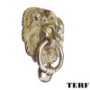 TERF® 100mm Traditional Lion Head Door Knocker 100mm (4'') Door