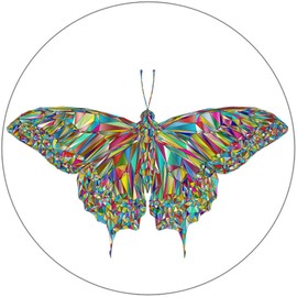 Kiwi Gifts Psychedelic Butterfly - 10 Pack Circle Stickers 3" x 3" - Colorful Rainbow