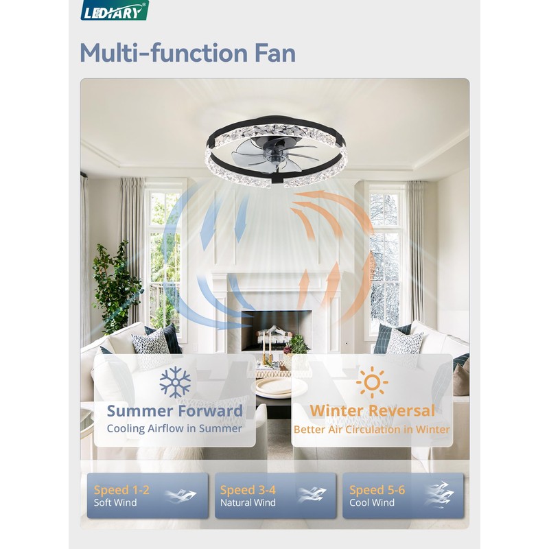 LEDIARY 20 Inch Low Profile Ceiling Fans with Lights and