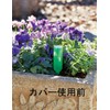 Green House Flower Drink Cover X X/11 cm 3290 –